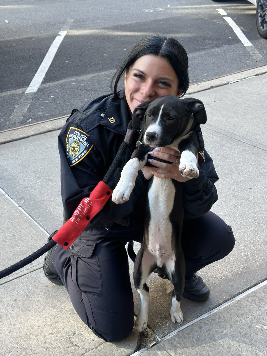 NYPD 10th Precinct tweet media