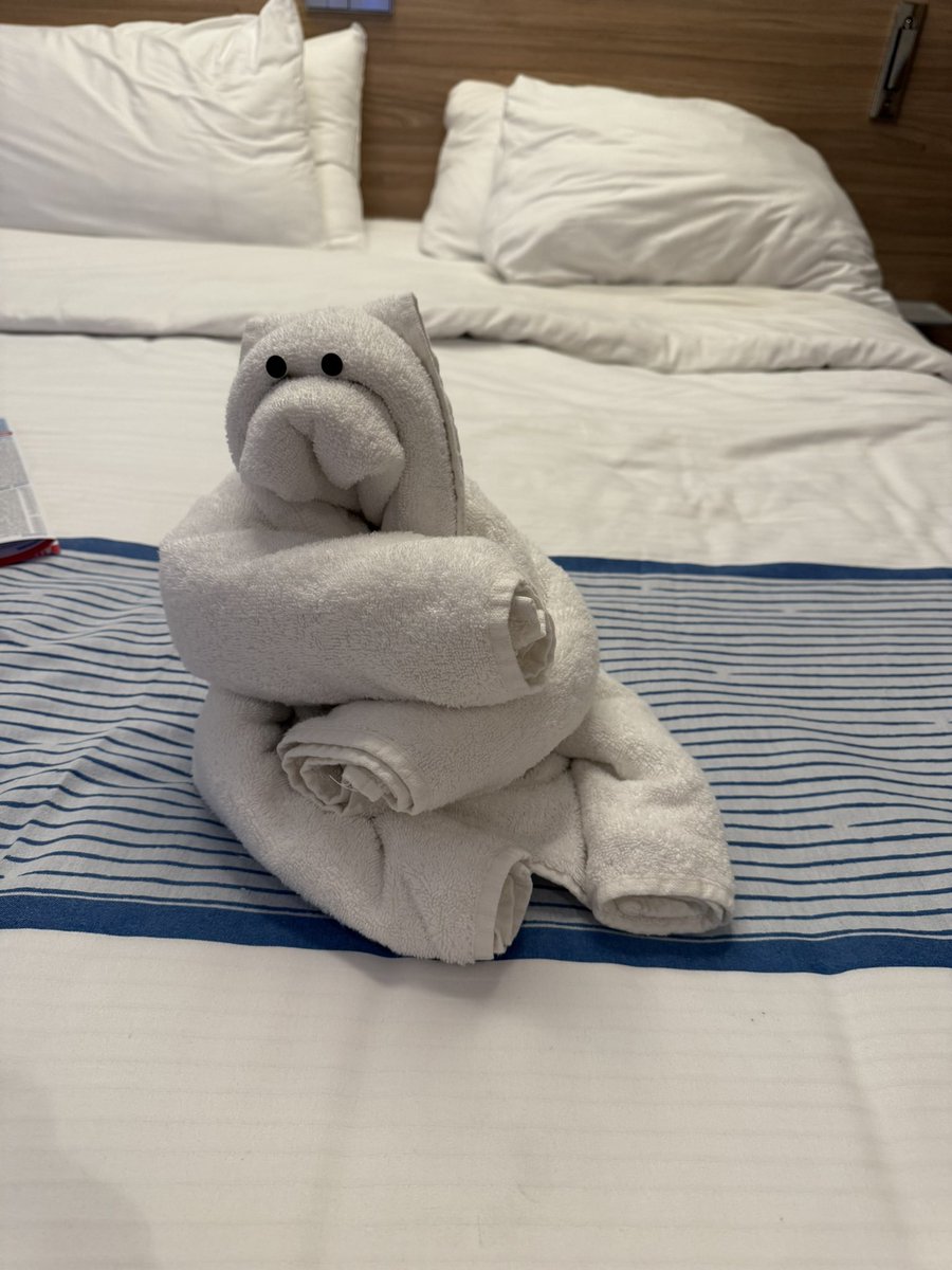 Cruising is such a delight!