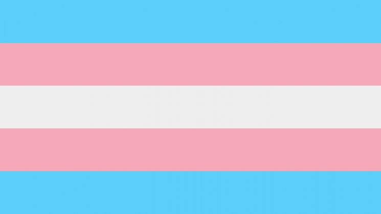 Trans people exist. 

Trans people are not going anywhere. 

Trans people are not the enemy.