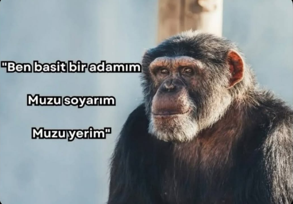 millet AA almak için gece gündüz çalışırken sınavı geçecek kadar çalışan biz