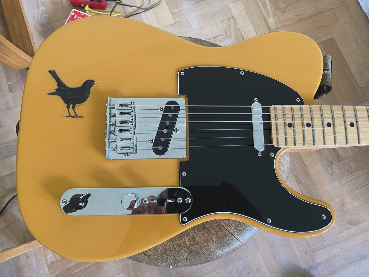 Yes, that's correct: D D A A D D. I call it the "dad" tuning. Yes, that's a blackbird. I made a record with <a href="/PerfettoAnto/">A Perfetto</a> on the blackbird guitar You can hear the it and read about the blackbird in the link on the following post.