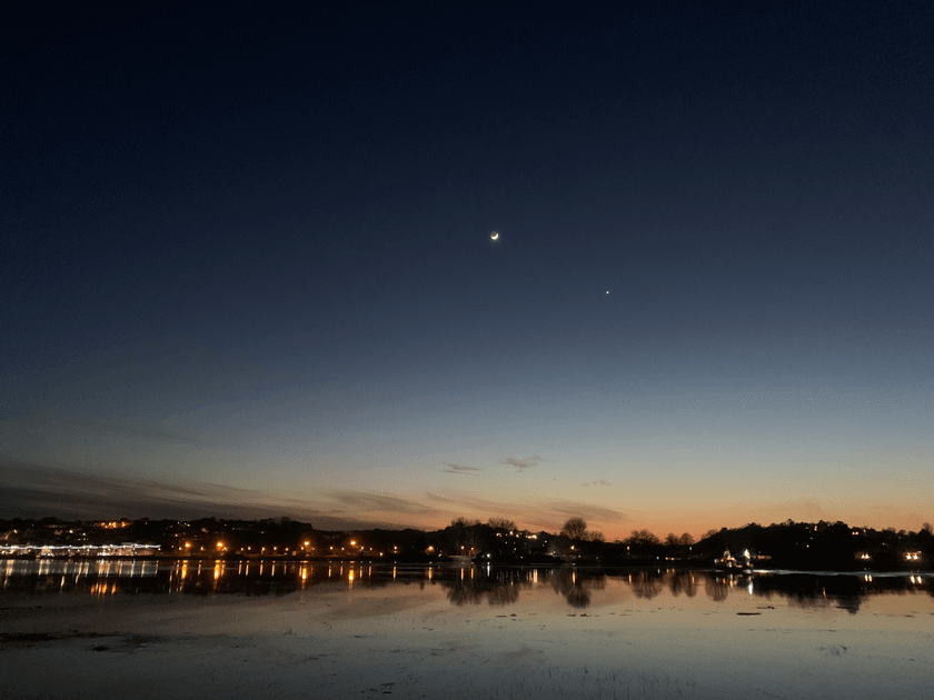 Webbie Social 🫟 tweet media