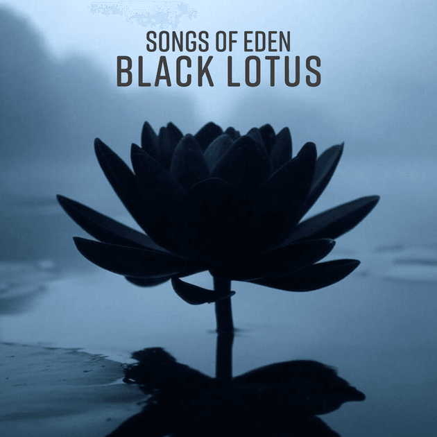 Webbie Social 🫟 tweet media