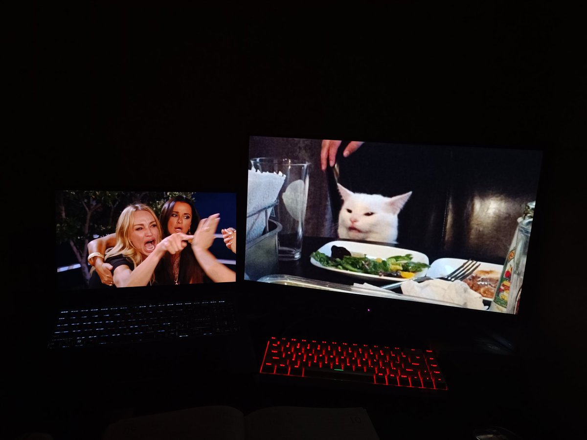 waydansh's tweet image. The perfect dual monitor wallpaper doesn&apos;t exi-