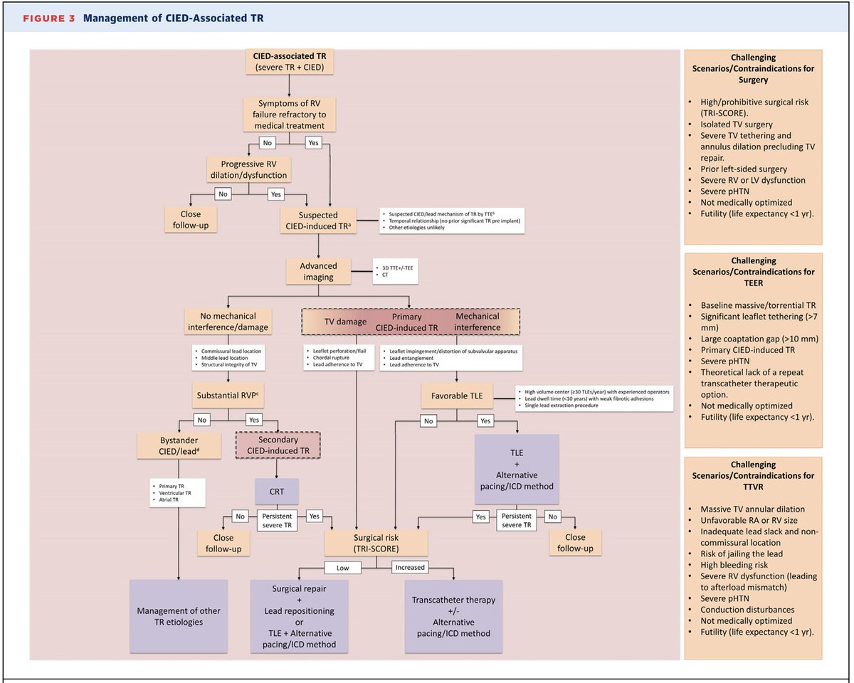 Andrea Scotti (@andreascotti21) on Twitter photo ✨In this novel format #JACCCaseReports, <a href="/jtorrado_arrosa/">Juan Torrado, MD, PhD</a> presents our Multidisciplinary Team Discussion on a patient with severe TR and CIED lead
🔗doi.org/10.1016/j.jacc…
<a href="/jcecharte/">Julio Echarte</a> <a href="/MatteoSturlaM/">Matteo Sturla</a> <a href="/elie_flatow/">Elie Flatow</a> <a href="/leoneppmd/">Pier Pasquale Leone</a> <a href="/EdwinHoMD/">Edwin Ho</a> <a href="/GrushkoMichael/">Michael Grushko</a> <a href="/azeemlatib/">Azeem Latib</a>
<a href="/MonteHeart/">Montefiore Heart</a> ✨In this novel format #JACCCaseReports, <a href="/jtorrado_arrosa/">Juan Torrado, MD, PhD</a> presents our Multidisciplinary Team Discussion on a patient with severe TR and CIED lead
🔗doi.org/10.1016/j.jacc…
<a href="/jcecharte/">Julio Echarte</a> <a href="/MatteoSturlaM/">Matteo Sturla</a> <a href="/elie_flatow/">Elie Flatow</a> <a href="/leoneppmd/">Pier Pasquale Leone</a> <a href="/EdwinHoMD/">Edwin Ho</a> <a href="/GrushkoMichael/">Michael Grushko</a> <a href="/azeemlatib/">Azeem Latib</a>
<a href="/MonteHeart/">Montefiore Heart</a>