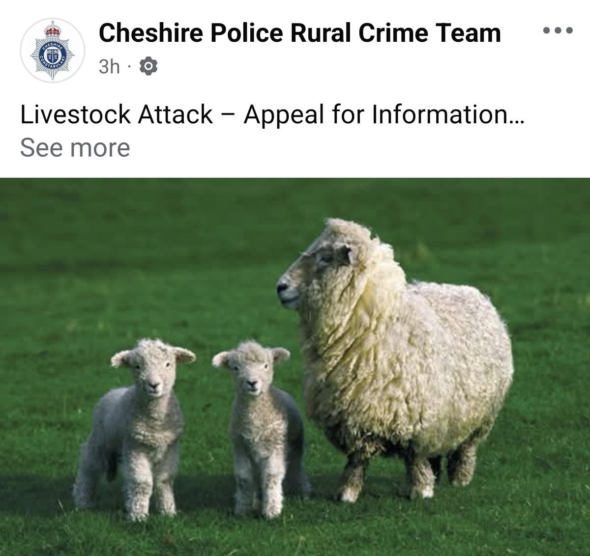 OPERATION RECALL tweet media