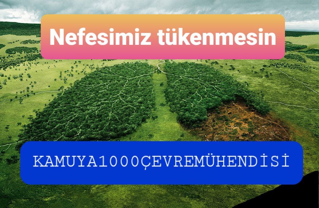 AyseNkrks's tweet photo. @csbgovtr Değerli Cumhurbaşkanımız, Bakanımız, Çevre Komisyonu üyelerimiz ve Milletvekillerimiz; sizlere atama bekleyen Çevre Mühendisleri olarak sesleniyoruz ve 1000atama bekliyoruz. 
#Kamuya1000ÇevreMühendisi
@csbgovtr 
@RTErdogan 
@EmineErdogan 
@murat_kurum 
@EmelGozukara_D. https://t.co/ooFwb3fwxg