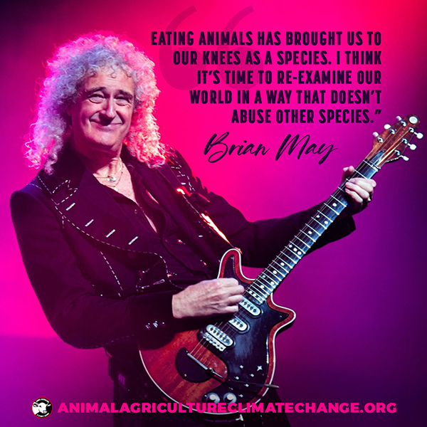 Meat-Free Plate tweet media