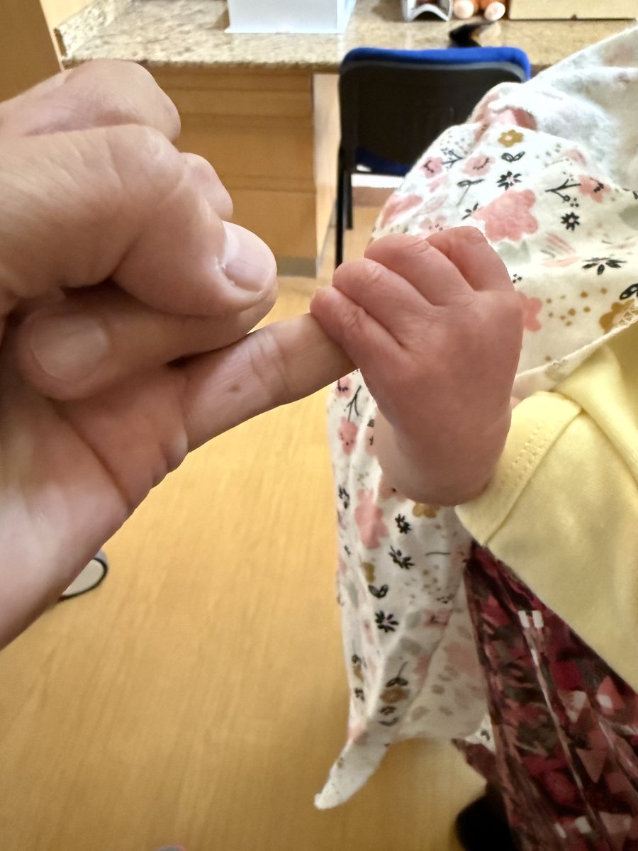 Jaime L. Núñez Piña 🍍 tweet media