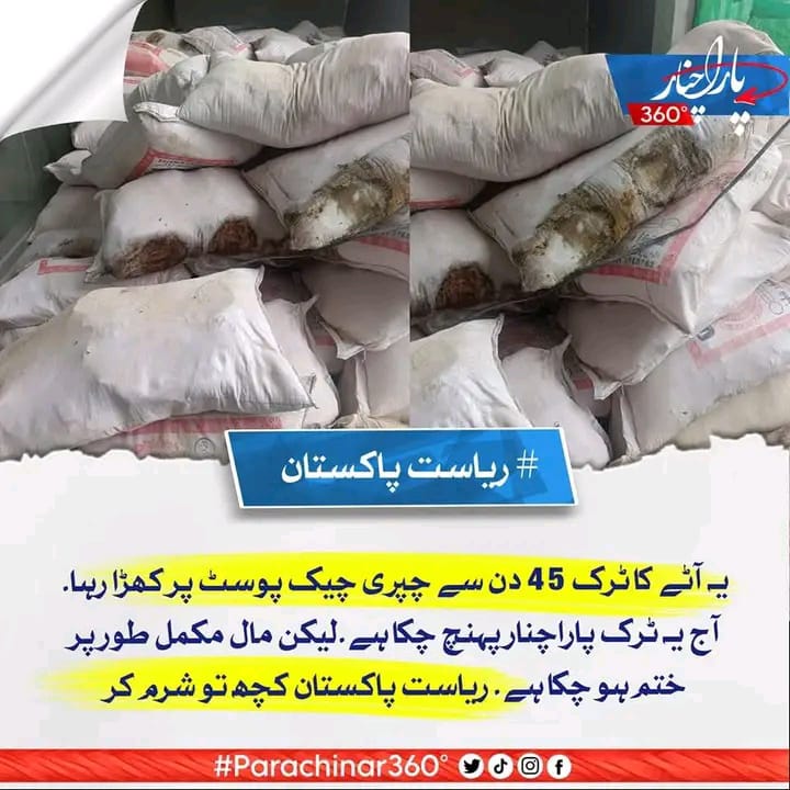 Zahra_Turi's tweet photo. یہ آٹے کا ٹرک 45 دن سے چپری چیک پوسٹ پر کھڑا رہا
آج یہ ٹرک #پاراچنار پہنچ چکا ہے
لیکن مال مکمل طور پر ختم ہو چکا ہے
ریاست پاکستان کچھ تو شرم کر
#ParachinarRemainsUnderSiege #SecureTheKurram #ParachinarIsBleeding #کرم #parachinarwantpeace #Parachinarundersiege #parachinar https://t.co/56TVKZARFe