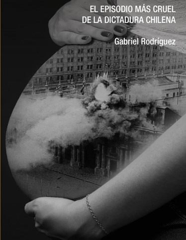 Tras el Golpe de Estado 15 mujeres embarazadas fueron ejecutadas, y un total de 700 niños, niñas y adolescentes quedaron huérfanos debido a la ejecución o desaparición forzosa de sus padres. Para la candidata ultraderechista Evelin Matthei “No había otra alternativa”