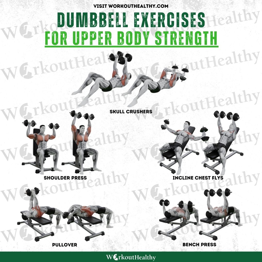 WorkoutHealthy's tweet image. 5 Upper Body Dumbbell Exercises
#ExerciseRoutine #HealthyLifestyle #Gain