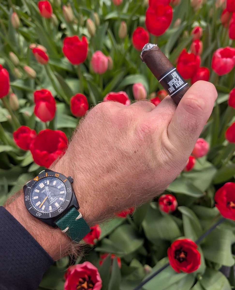 Spring in full swing in Philly - reveling in it with an EDICD Maduro