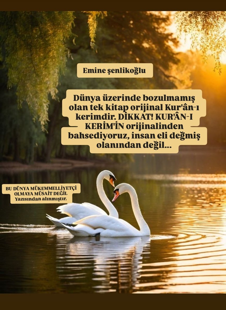 emine şenlikoğlu tweet media