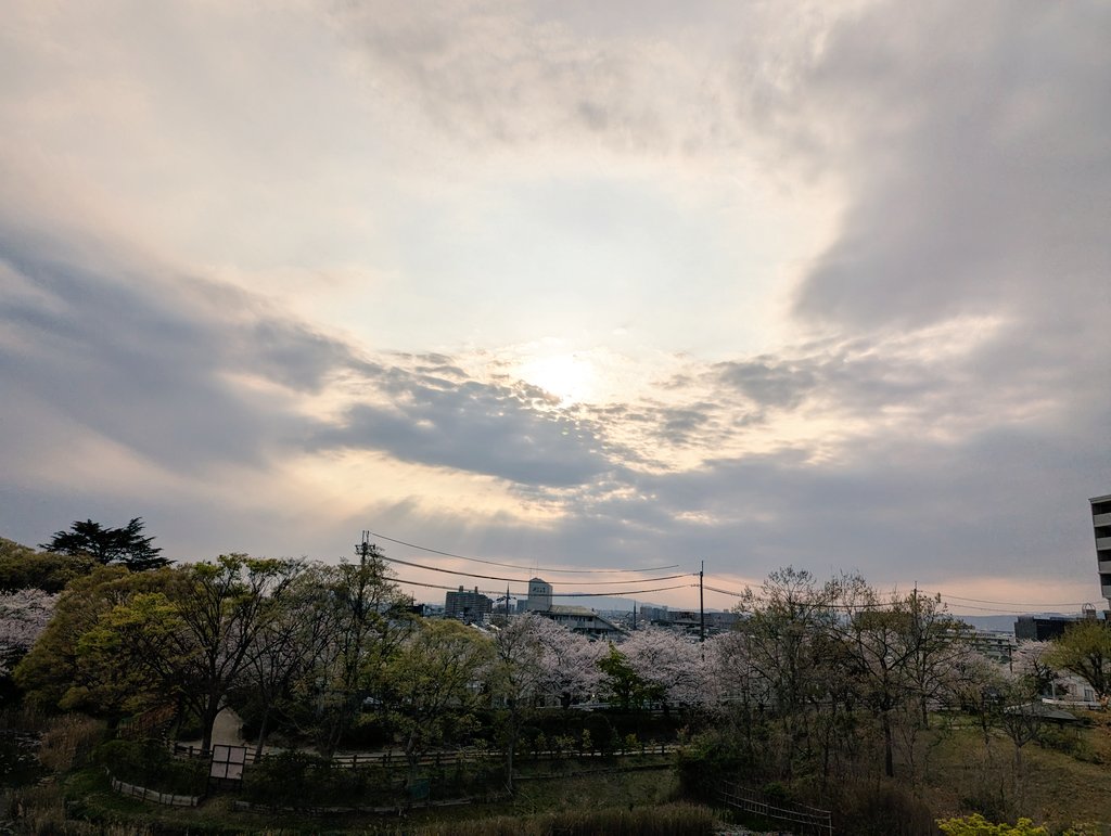 EyRdSdZphi2ZvFr's tweet image. スターシードは、自己暗示が強い。　かかりやすい。自分でかけているから、なかなか外れない。自分でそれをやっている事に気付かない。なぜなら、自分の感覚だから。当たり前になっている。女性は男っぽく、男性は女っぽくなっている事が多い。