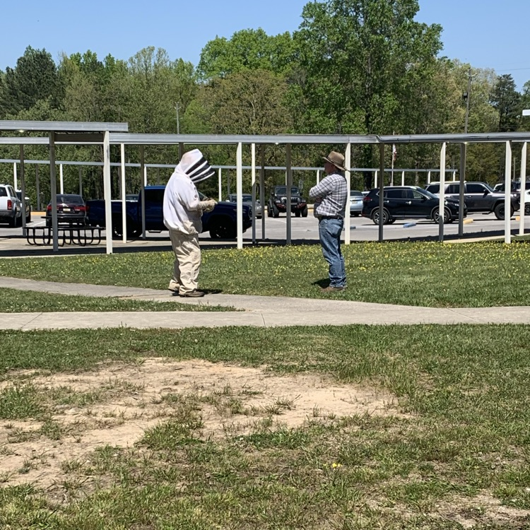 HaleyvilleCT's tweet photo. Some of our students had a surprise bee keeping lesson today!! https://t.co/ZKjgi8xXwn