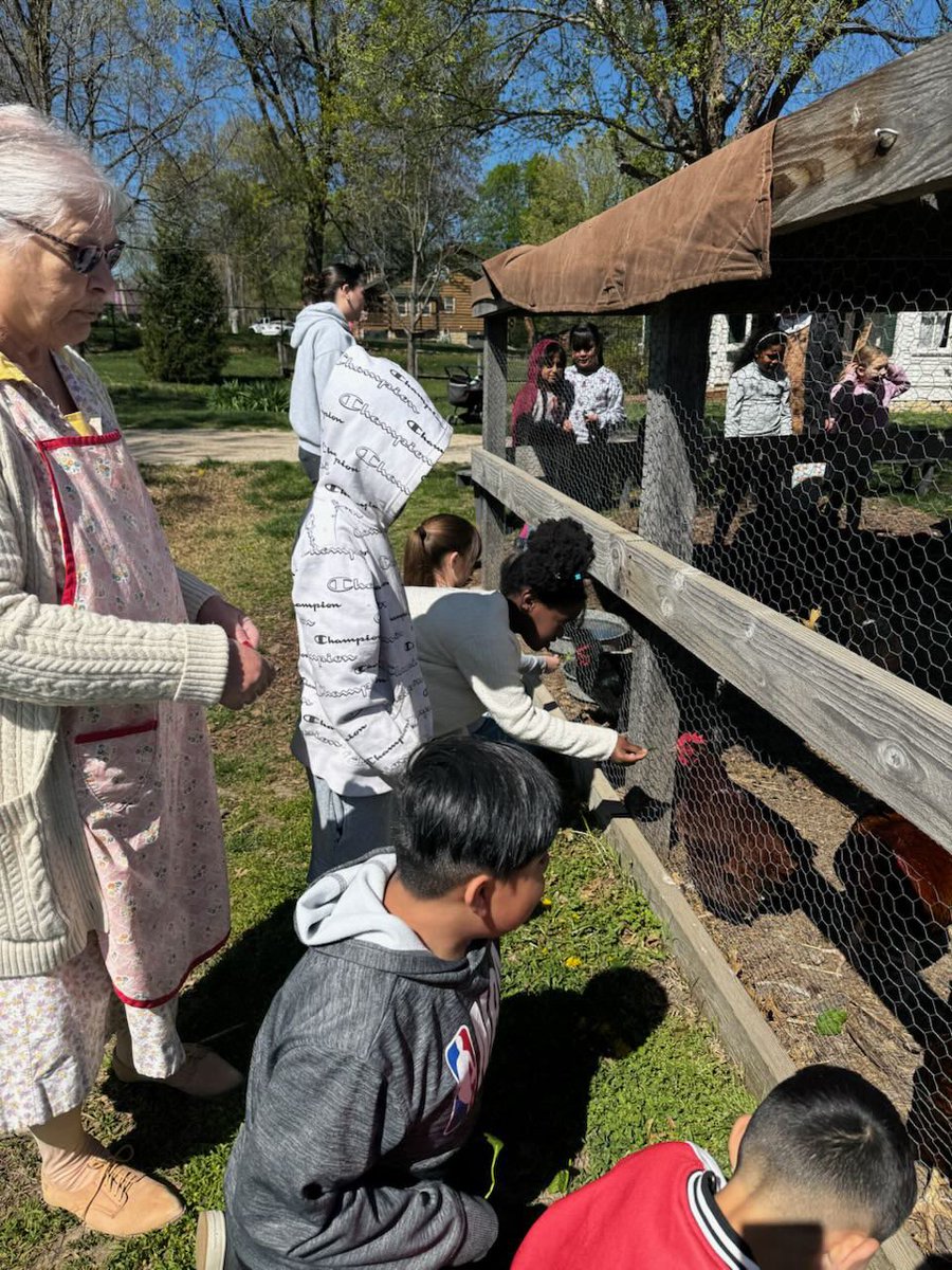 PeggyEverist tweet media