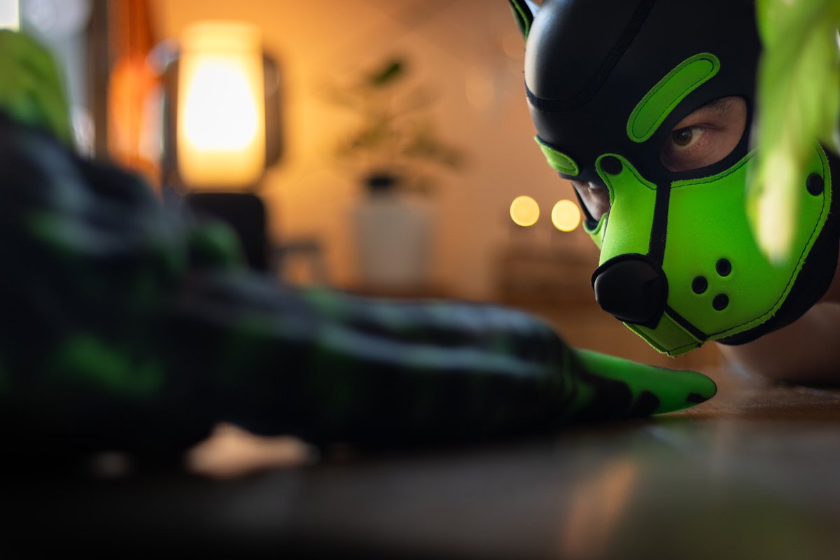 Pup_Croco (@pup_croco) on Twitter photo This toy has officially become my favorite toy ๐คญ๐ซฃ
Thank you <a href="/SwisokOfficial/">SWISOK Official</a> for this ๐
โ
If you want your own one, save 10% by using ยซย Crocoย ยป This toy has officially become my favorite toy ๐คญ๐ซฃ
Thank you <a href="/SwisokOfficial/">SWISOK Official</a> for this ๐
โ
If you want your own one, save 10% by using ยซย Crocoย ยป