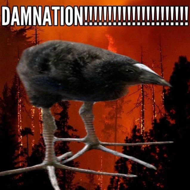 Angelxcspe's tweet photo. Help..
DAMNATWOTIME

#Forsaken #forsakenfanart https://t.co/UUTPxChy1Z