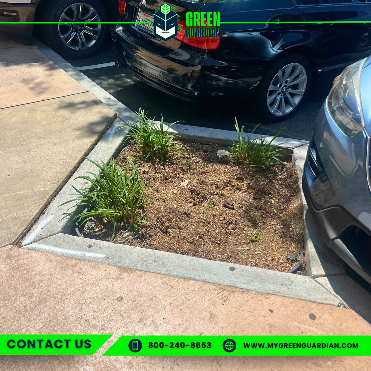 MyGreenGuardian's tweet photo. 𝐒𝐮𝐜𝐜𝐞𝐬𝐬𝐟𝐮𝐥 𝐓𝐫𝐞𝐞 𝐑𝐞𝐦𝐨𝐯𝐚𝐥 &amp; 𝐒𝐭𝐮𝐦𝐩 𝐆𝐫𝐢𝐧𝐝𝐢𝐧𝐠 𝐢𝐧 𝐒𝐮𝐧𝐧𝐲𝐯𝐚𝐥𝐞!🌳
We cleared this space with precision, making it safer and cleaner for the community. Whether it’s large trees or tight spaces, Green Guardian gets it done right. https://t.co/bbLgK4TzKU