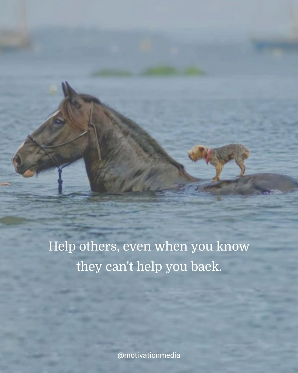 Mind Essentials (@mind_essentials) on Twitter photo 