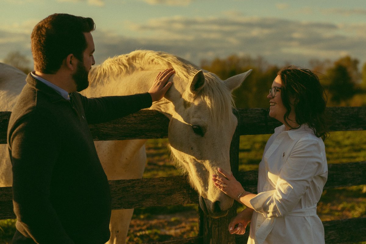 Sarah_renee98's tweet photo. 🐴💕 https://t.co/Ya5vV85XY4