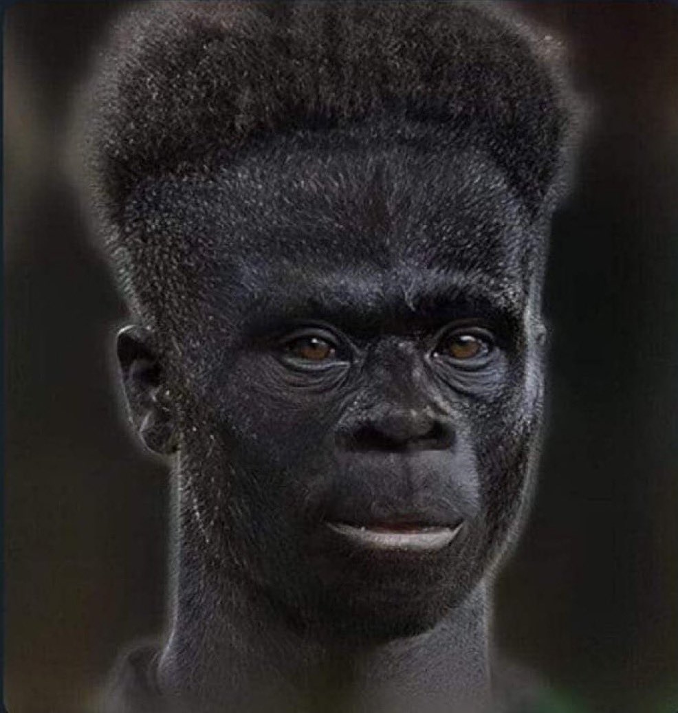 nico (@nicoharden) on Twitter photo 