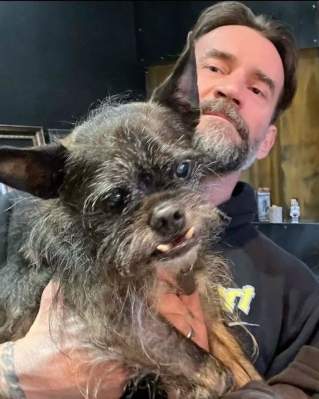 Summer Of Punk. ༯ not @/CMPunk tweet media