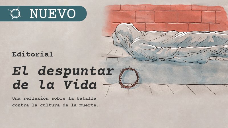 Revista Suroeste tweet media