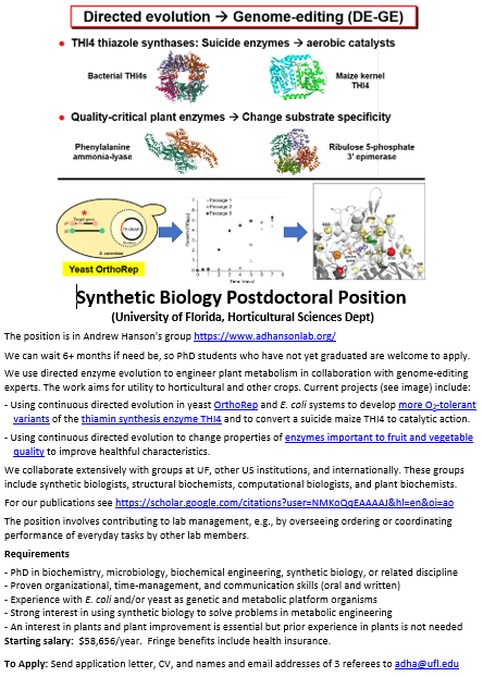 Andrew D Hanson Lab (@adhansonlab) on Twitter photo #SyntheticBiology postdoctoral position in our group <a href="/ufhorticulture/">UF/IFAS Horticultural Sciences</a> in directed evolution of enzymes that underlie important crop traits ⬇️ #SyntheticBiology postdoctoral position in our group <a href="/ufhorticulture/">UF/IFAS Horticultural Sciences</a> in directed evolution of enzymes that underlie important crop traits ⬇️