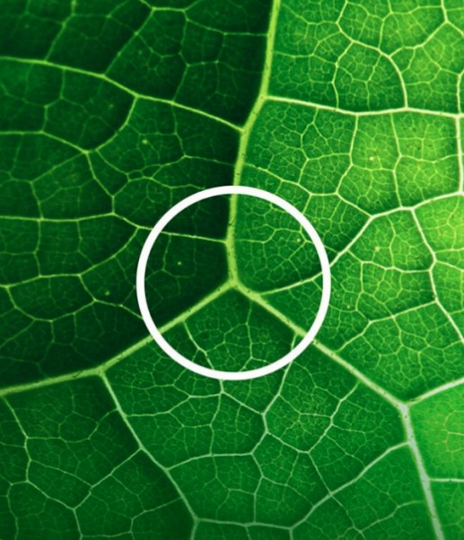 🌎 Happy Earth Day! 🌱

Let’s love our planet a little more today—and every day. 💚

#EarthDay #LoveTheEarth #mercedesbenz #mbfm