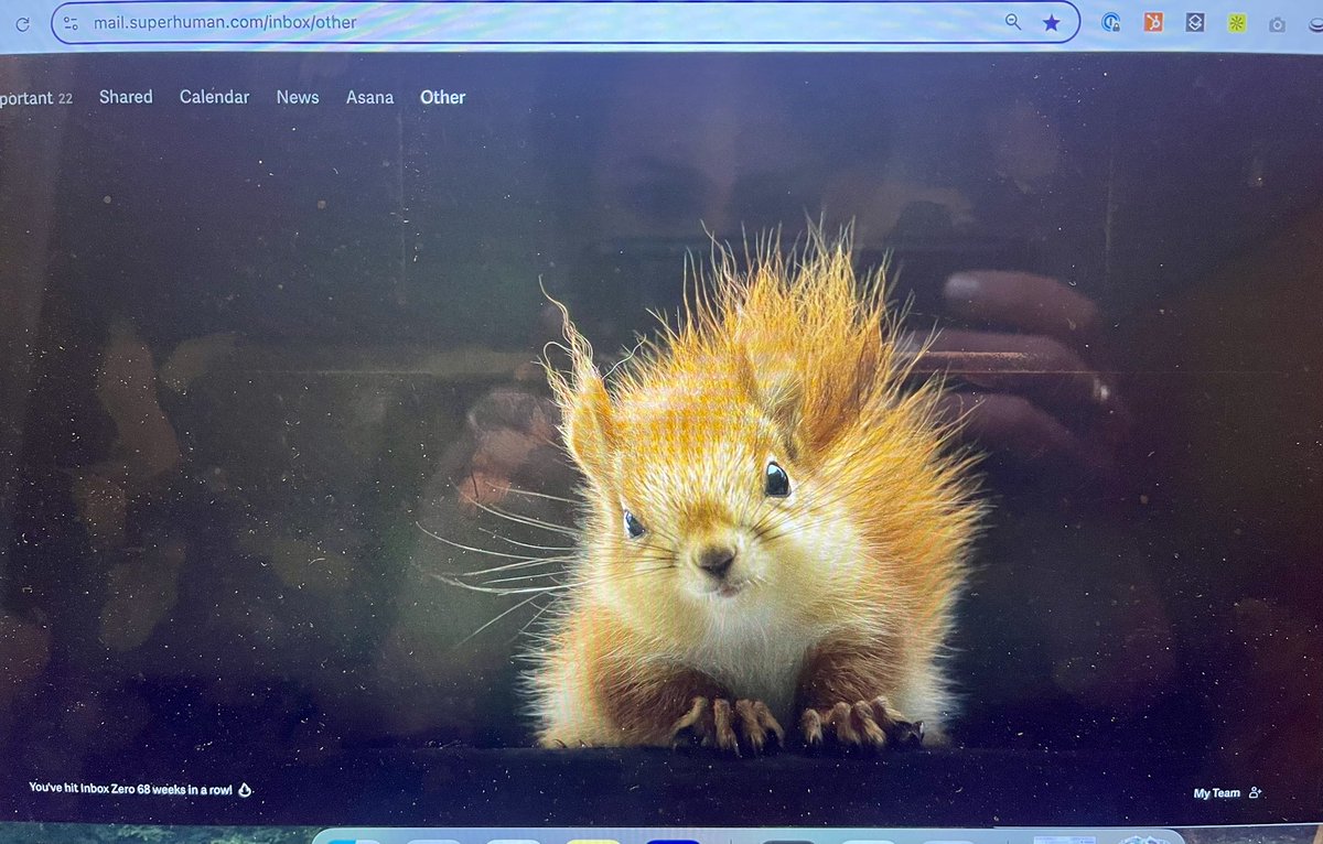 okay but can this always be inbox zero <a href="/Superhuman/">Superhuman</a>?