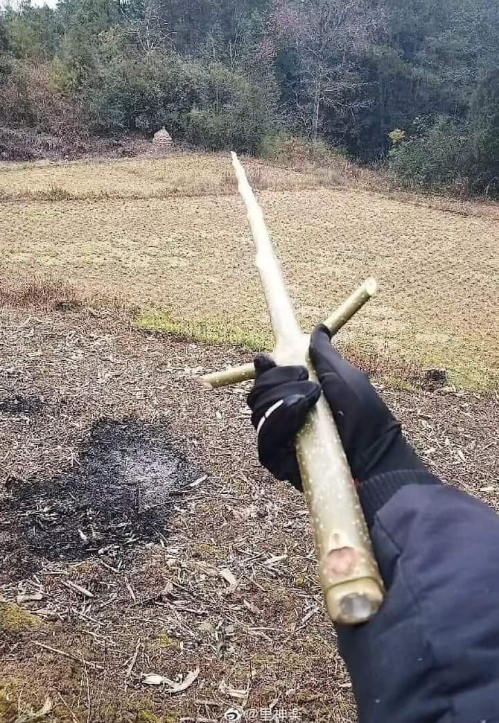 schifosaa's tweet photo. Finding a stick like this. https://t.co/icqpuFAkNS
