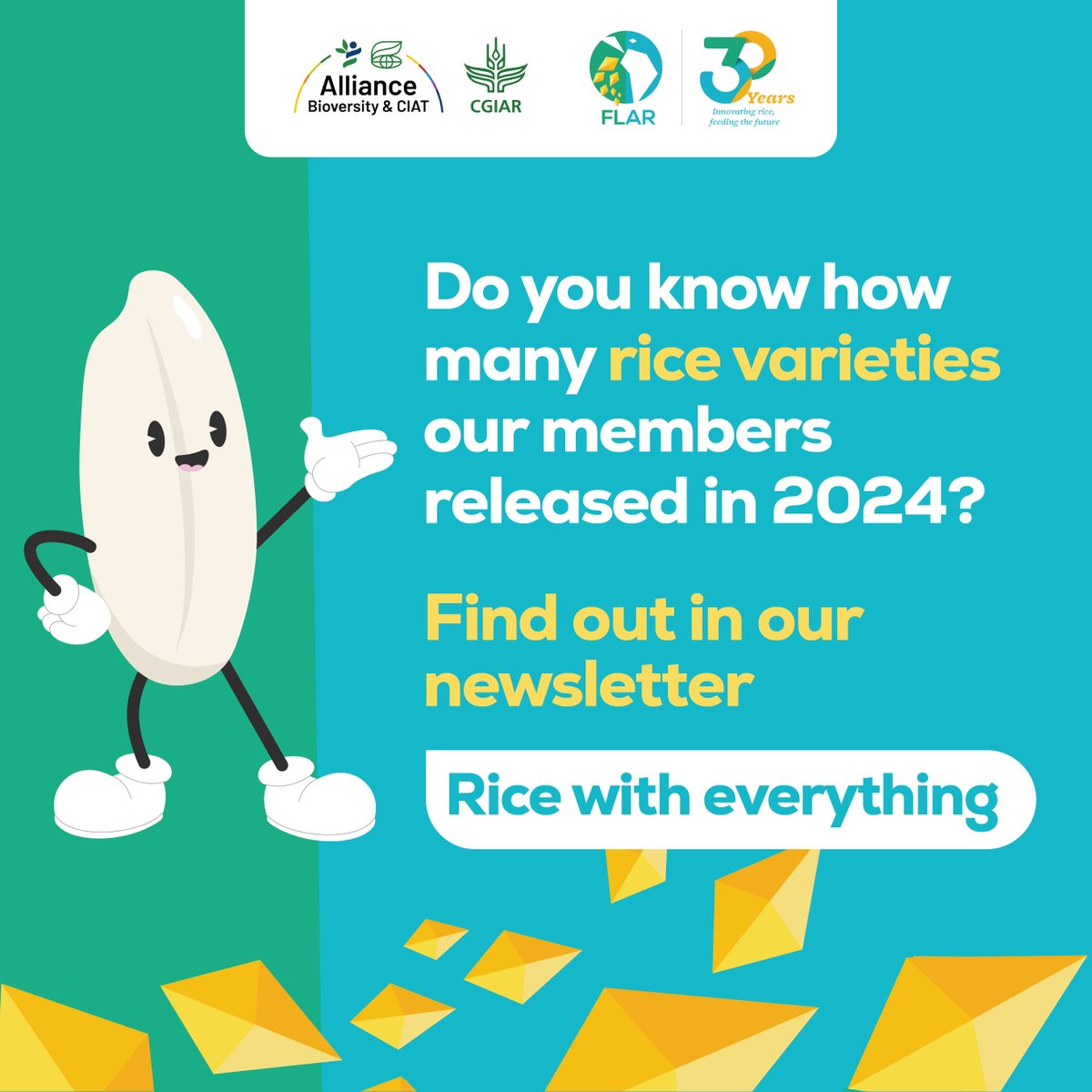🌾 New rice varieties released by <a href="/arrozFLAR/">FLAR🌾🍚</a> members in 2024! Find out more about this and other key achievements in our "Rice with everything" newsletter. Don't miss it! 📩 shorturl.at/vUTcL
#FLAR30