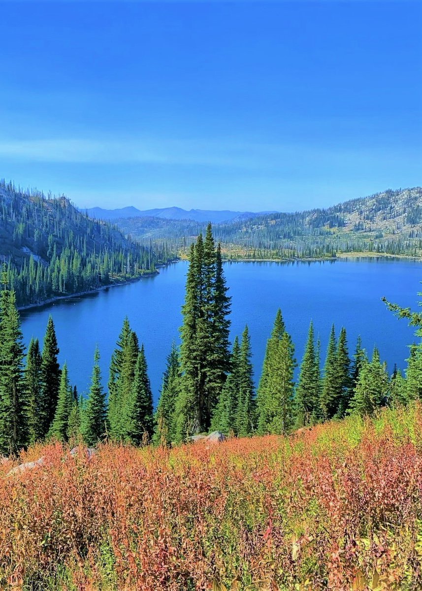 Payette National Forest,Idaho-USA.