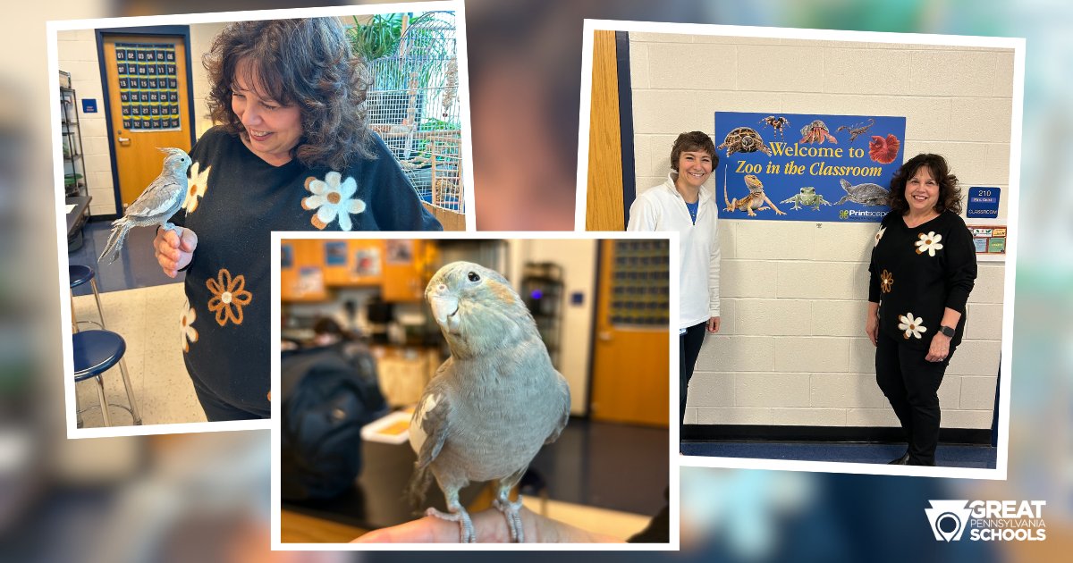Great PA Schools (@greatpaschools) on Twitter photo PSBA Training and Outreach Manager Lena Hannah had the opportunity to visit Mrs. Geistโs classroom in <a href="/canon_mac/">Canon-McMillan School District</a> to learn about her Zoo in the Classroom zoology course, and meet Pearl the bird!
#GreatPASchools #ExcellenceInPAPublicEd PSBA Training and Outreach Manager Lena Hannah had the opportunity to visit Mrs. Geistโs classroom in <a href="/canon_mac/">Canon-McMillan School District</a> to learn about her Zoo in the Classroom zoology course, and meet Pearl the bird!
#GreatPASchools #ExcellenceInPAPublicEd