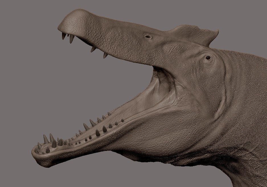 Mingau 🦃 (@_themingau) on Twitter photo 