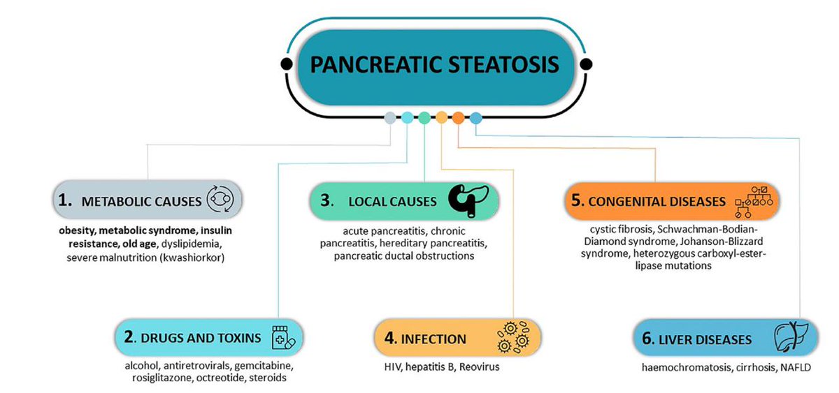 Often overlooked: 53.6% of pancreatic ductal adenocarcinoma (PDAC) patients have pancreatic steatosis (PS) and may be 3.2x more likely to have PS than controls. Fascinating area of research &amp; thoughtful work by the authors!
🔗sciencedirect.com/science/articl…
#GITwitter #pancreatictumors
