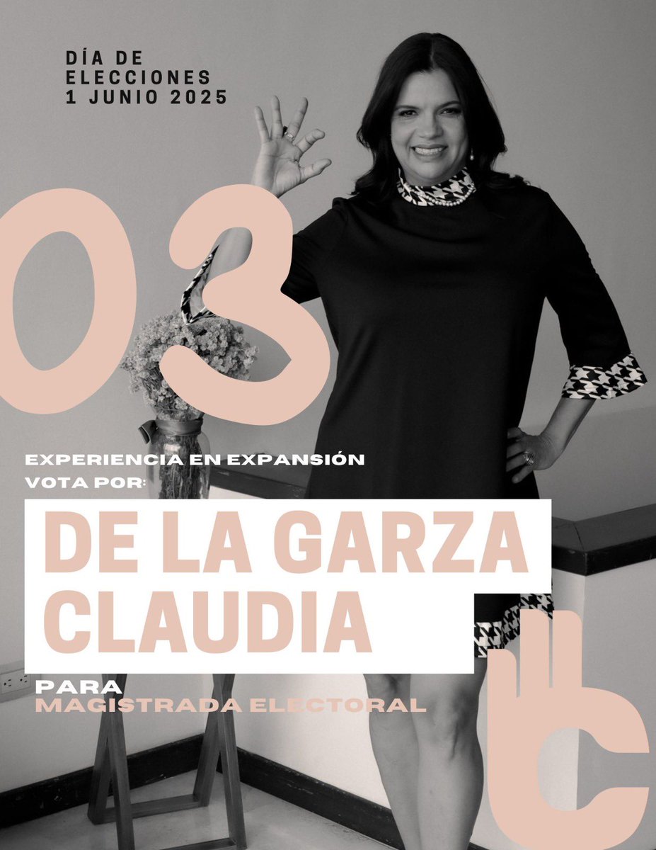 Clau_delagarza's tweet photo. Este 1 de junio vota por el #03 para Magistrada Electoral Sala Regional Monterrey.

Te invito a conocer mi perfil. Visita CONÓCELES INE en el siguiente enlace: 

https://t.co/rJd6k45H2m https://t.co/p9Mp7EzNNk