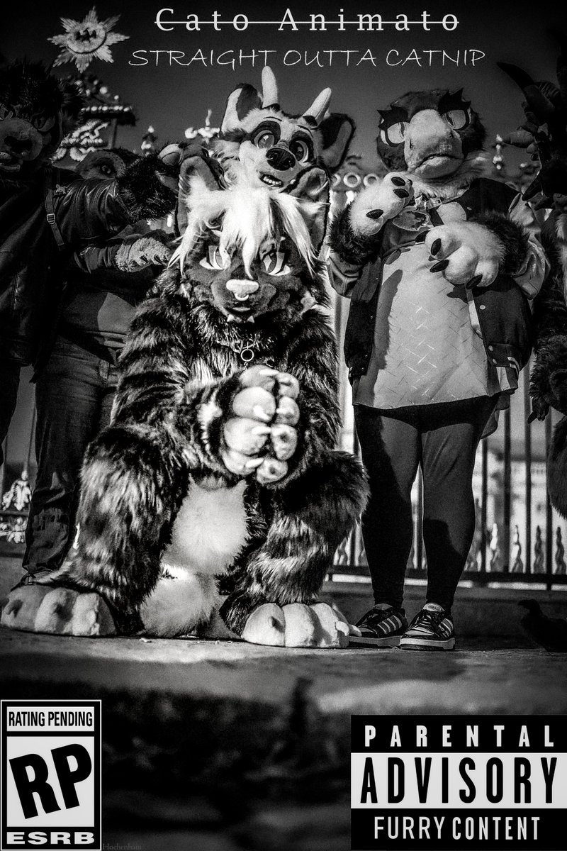 Hochenhain's tweet image. Some Furs posing like they got a new Album🤘. 
Featuring @whootwolf , Paradox, @CoVahr_Fox ,@fritzicato ,Ishtar and Talia
#furries #fursuit