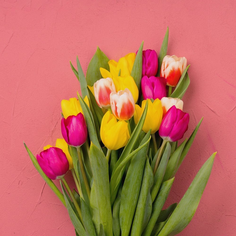 Entrega para <a href="/G00DWlFE/">ℳ𝑎𝑟𝑔𝑜𝑡 𝑾𝑒𝑙𝑙𝑠</a> ;
De parte de Owen Wells.
⠀⠀⠀⠀