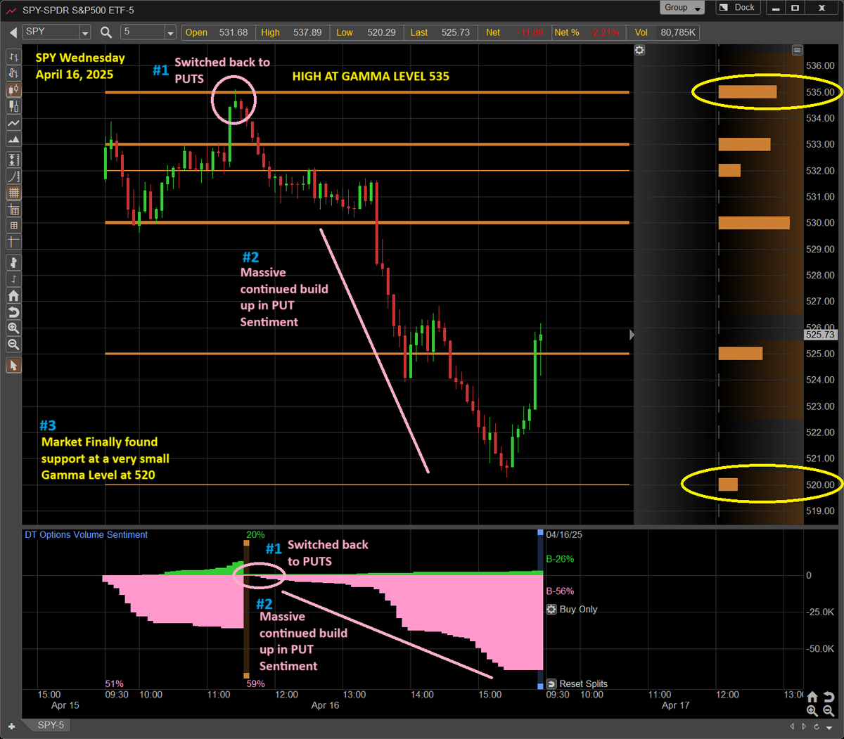 Dynamic Trend tweet media