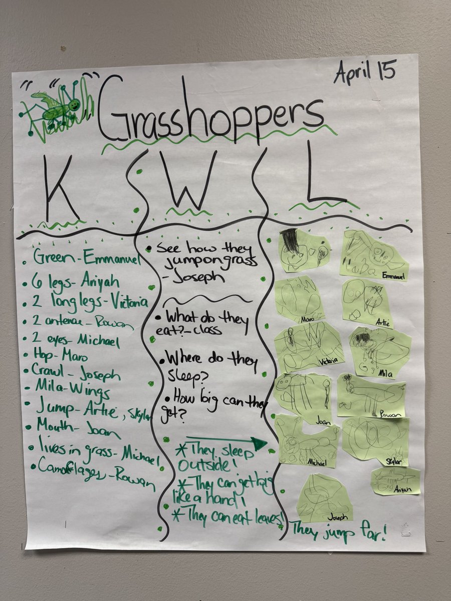 npinilla1's tweet photo. #RISD #PREK3 #BeTheOne #Grasshoppers Jumping /Hopping Insects! KWL Chart &amp; #MakingLearningFun 🤩 https://t.co/y5JPJQWBht