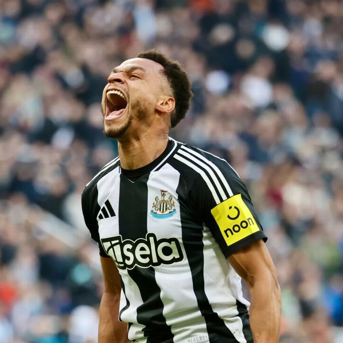 thomashammond__'s tweet image. #NUFC since the 10th of March.
- 6 straight wins.
- 17 goals scored.
- 3 conceded.
- A 70 year thought drought ended.
- Up to the 3rd in the Premier League.
What a memorable 37 days it’s been.