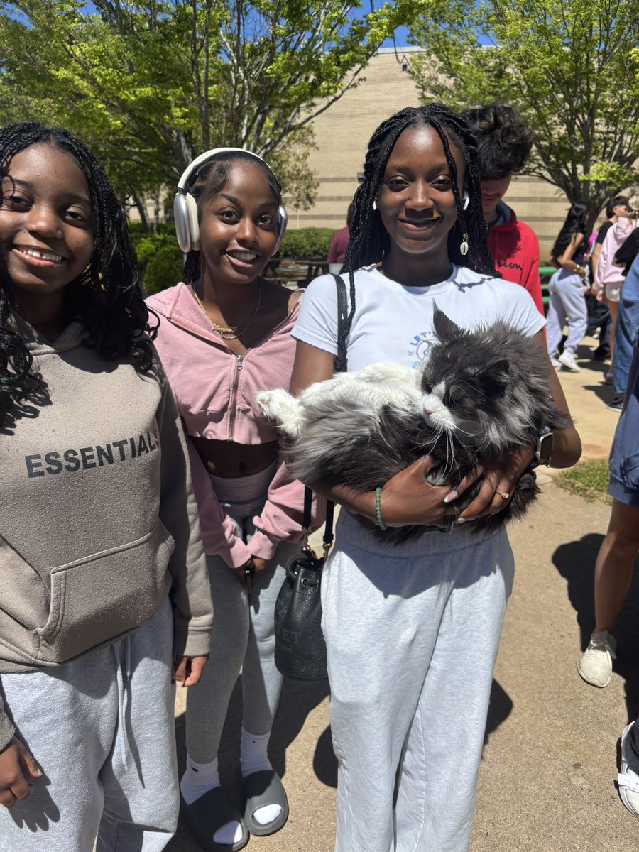 RHSsswrker's tweet photo. Roswell High School could not love our @htpettherapy visits more! ππ€ And our sweet pups even helped to promote Child Abuse Prevention Month! π #MentalHealthMatters #weprotecteachother #FCSStandsForSafety https://t.co/tercSGkpON