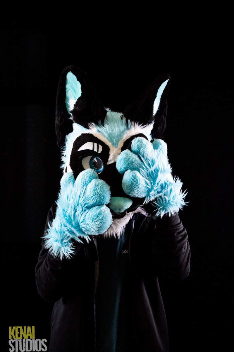 Such a cute Yeen!
<a href="/HagenHyena/">Hagen Hyena</a> 
#yeen #furry #fursuit #yeenfursuit #furries #fursuits