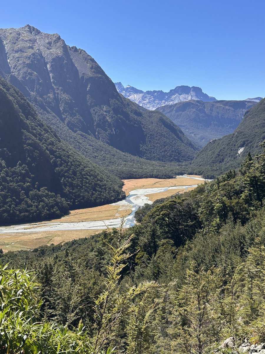 Six months after undergoing hamstring repair for a full-thickness tear, one of our patients completed a 7-hour hike in New Zealand—totaling 31,500 steps! We’re proud to see such a remarkable recovery and honored to be part of their journey. 

#HamstringRepair