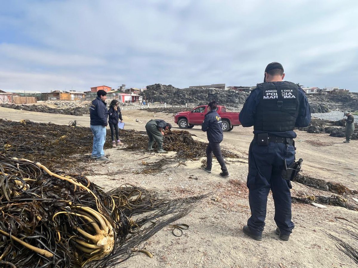 Gobernación Marítima de Caldera tweet media