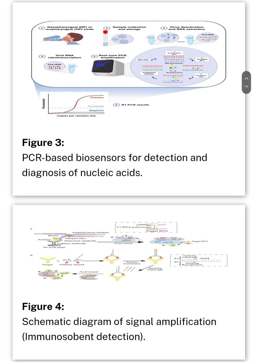 Crispr Revolution: Cutting-Edge Biosensors and Nanomedicine for Precision Health