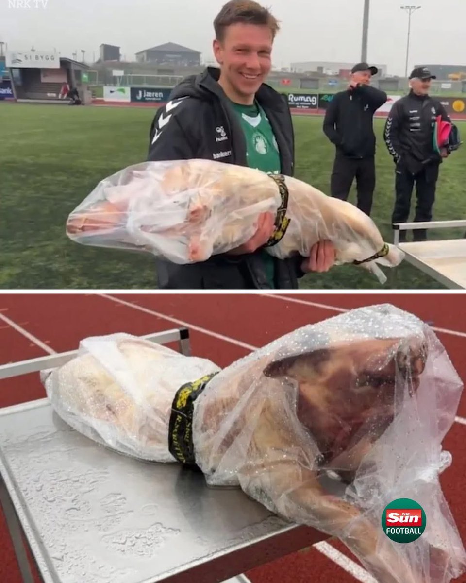 Норвешкиот клуб Вархауг на својот МОТМ Сондре Двергсдал му дал свиња од 50кг на поклон! 😂😂😂